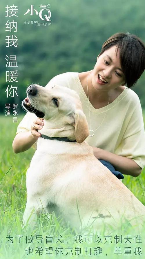 怎么做假韦斯特大学文凭毕业证